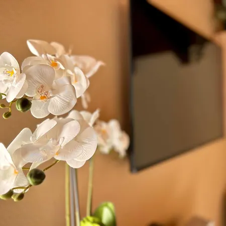 Casa Gio.anna Apartament